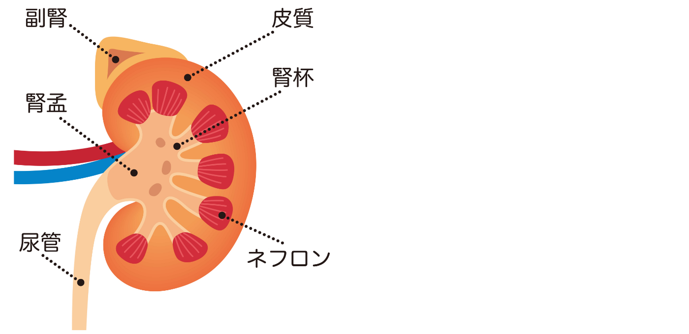 オメガオイル(450mg × 60粒入り)